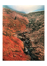 Load image into Gallery viewer, Old Future