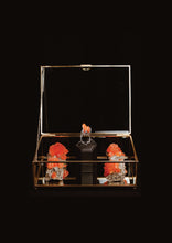 Load image into Gallery viewer, Old Future