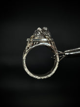 Load image into Gallery viewer, Cosmic Prison
