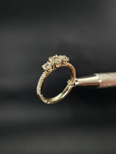 Load image into Gallery viewer, Golden Promise
