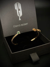 Load image into Gallery viewer, Golden Zipper Brc
