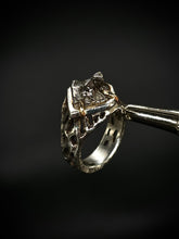 Load image into Gallery viewer, Cosmic Prison
