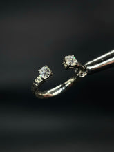 Load image into Gallery viewer, Double Trouble Pt. 2
