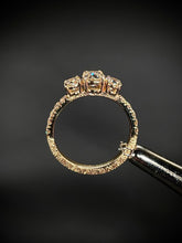 Load image into Gallery viewer, Golden Promise
