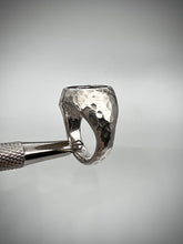 Load image into Gallery viewer, Mr. Jerry
