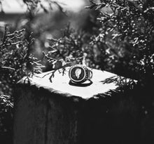 Load image into Gallery viewer, Mr. Duality
