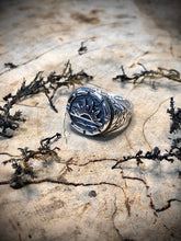 Load image into Gallery viewer, Sunrise
