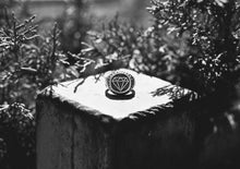 Load image into Gallery viewer, Mr. Diamond
