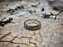 Load image into Gallery viewer, Stripes &amp; Fries
