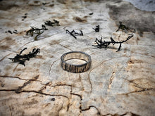 Load image into Gallery viewer, Stripes &amp; Fries
